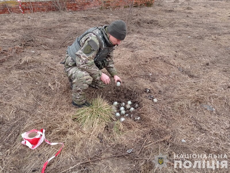 Росіяни скинули на півночі Сумської області кулькові осколкові авіабомби, вони можуть привернути увагу дітей – поліція